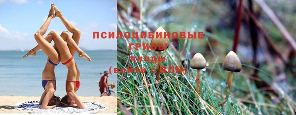 МДМА Алексеевка