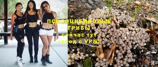 кокаин колумбия Дмитриев